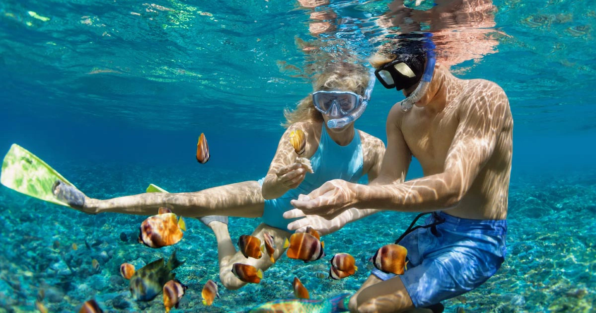 Couple snorkeling