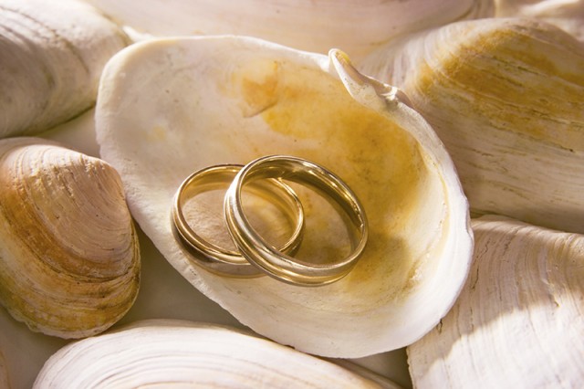 Symbolic Ritual for Wedding - Seashell Blessing