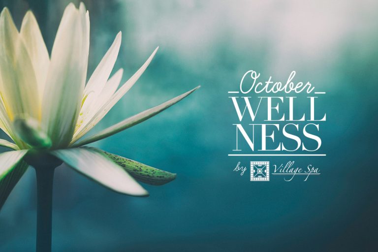 |October Wellness 2016 Coming Soon|Vacations dedicated to your mind body and spirit|October Wellness for 2016|Wellness Celebration|Wellness Celebration|Wellness Celebration