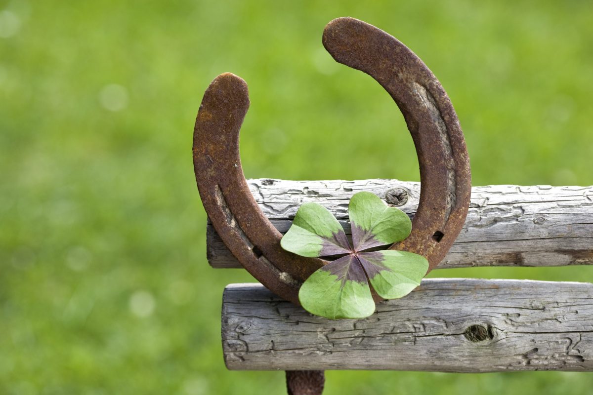 What Are Signs of Good Luck? - Blog