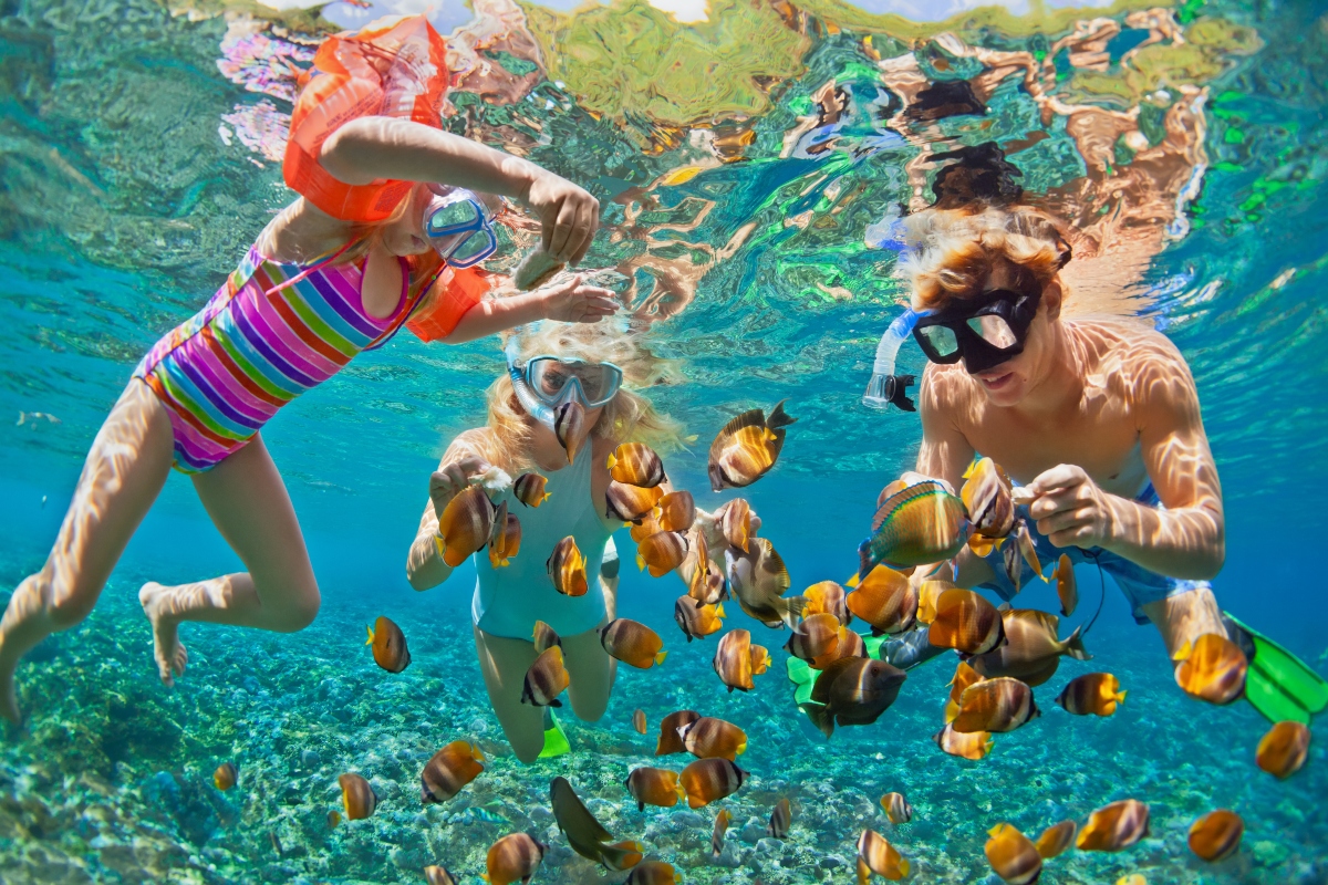 family-snorkelling-in-cancun