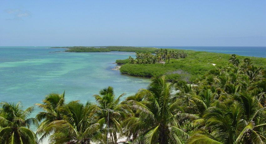 What’s Special about Isla Contoy Near Cancun?||
