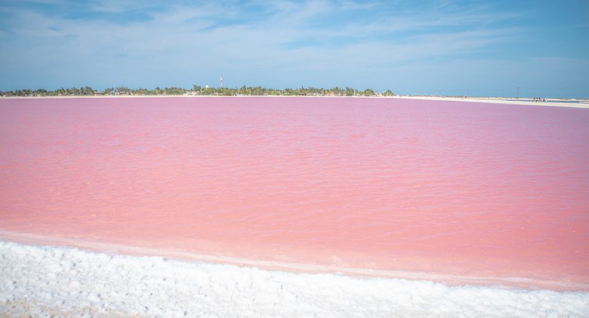 pink lakes of las coloradas in yucatan|impressive pink lakes in yucatan|pink lakes in yucatan mexico|pink lakes in mexico|activities at the pink lakes