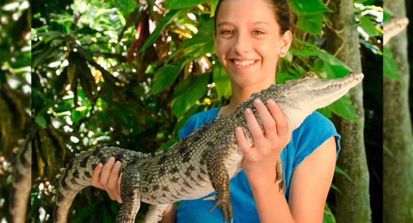 Things to do in Cancun Crococun Zoo|||White-Tailed Deer|Crocs and more