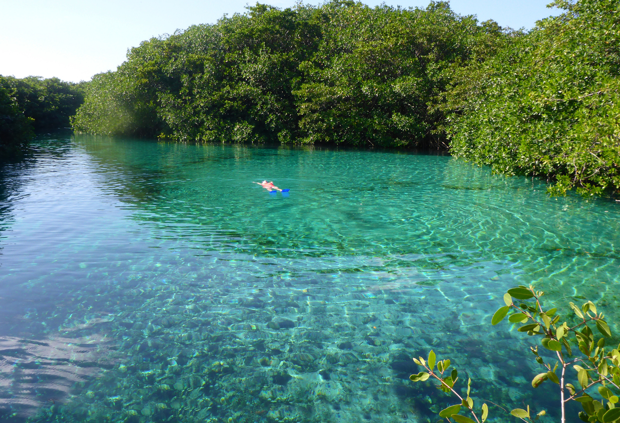 Snorkeling-Spots-Near-Cancun-Casa-cenote