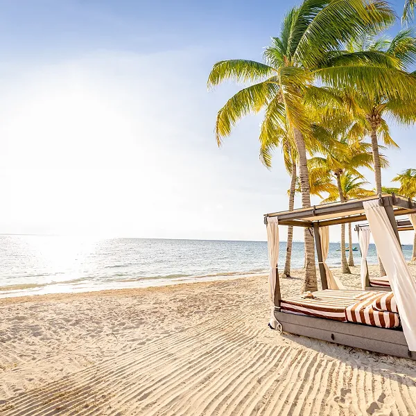 Discover Cancun Attractions