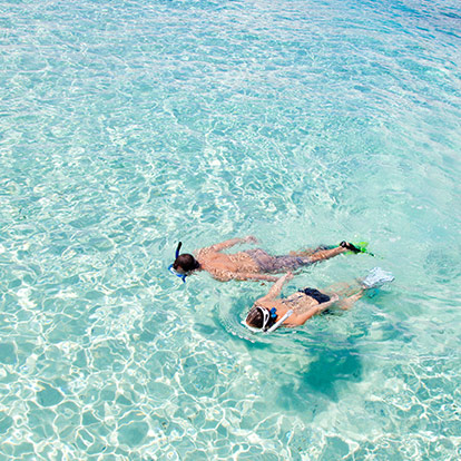 Snorkeling at the Beach in Cancun