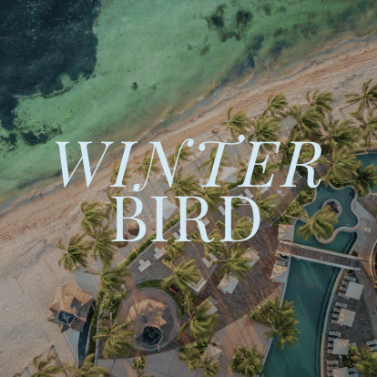 Winter Sale Villa del Palmar Cancún