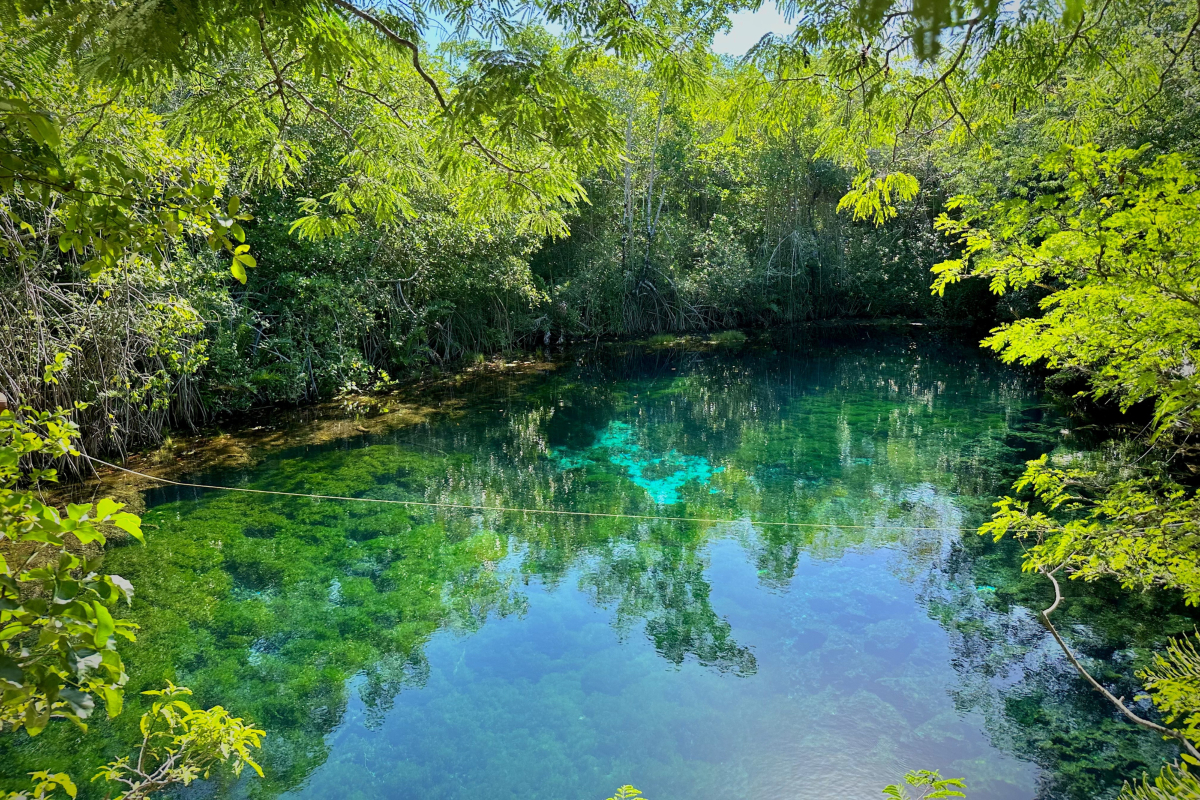 cenote_chac_mool_near_cancun