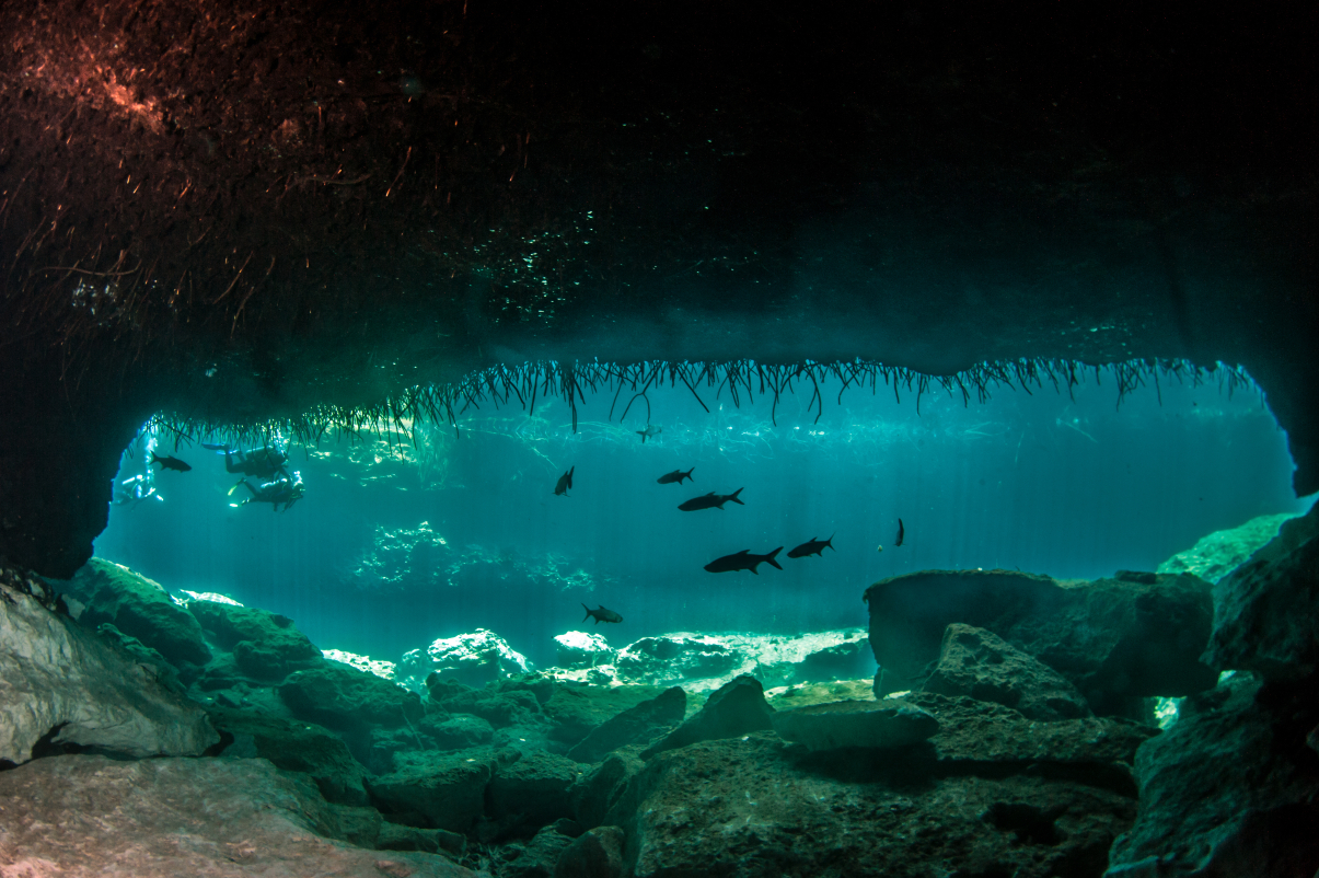 cenote_with_fishes